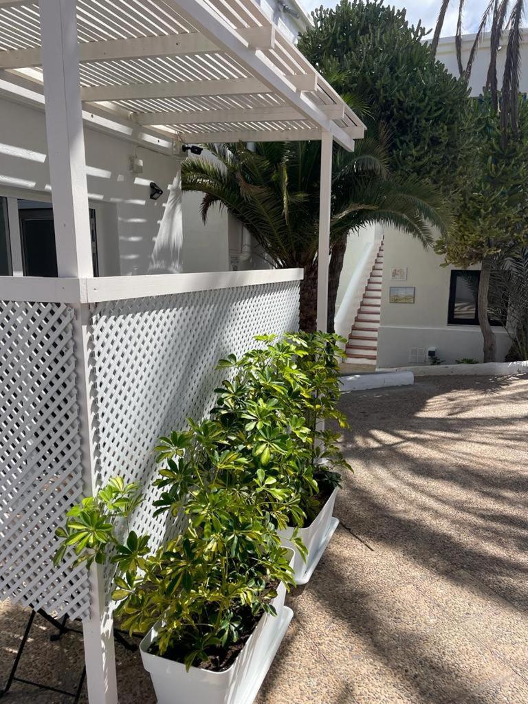 Apartamentos Punta Elena Beach Corralejo Exterior photo
